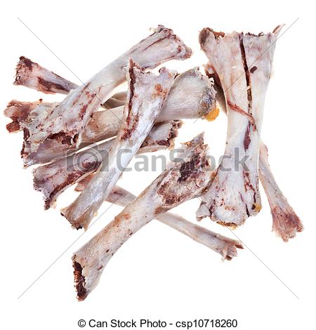 Stock Photo   Bare Chicken Bones   Stock Image Images Royalty Free