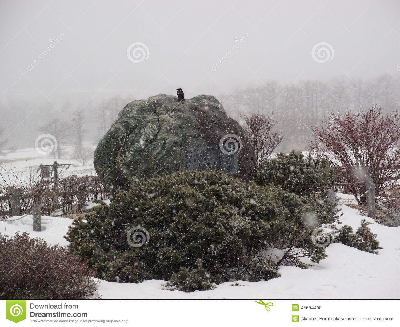 Crow On The Rock Under Snow Falling Stock Photo   Image  45694408