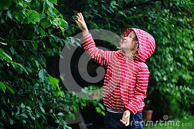 Child Girl In Red Raincoat Playing Under The Rain In Summer Garden