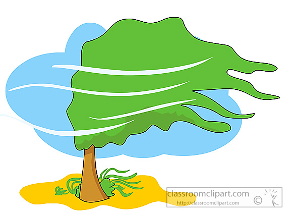 Weather   Weather Tree Blowing In Wind 04   Classroom Clipart