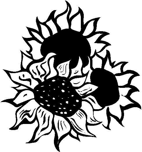 Clip Art   Sunflower Clip Art