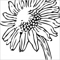 Free Vector Vector Clip Art Sunflower Clip Art