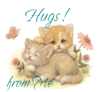Kitty Hugs   Cute Kittens Icon  10796547    Fanpop