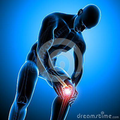     Of Transparent Male Skeleton With Knee Pain And Blue Background