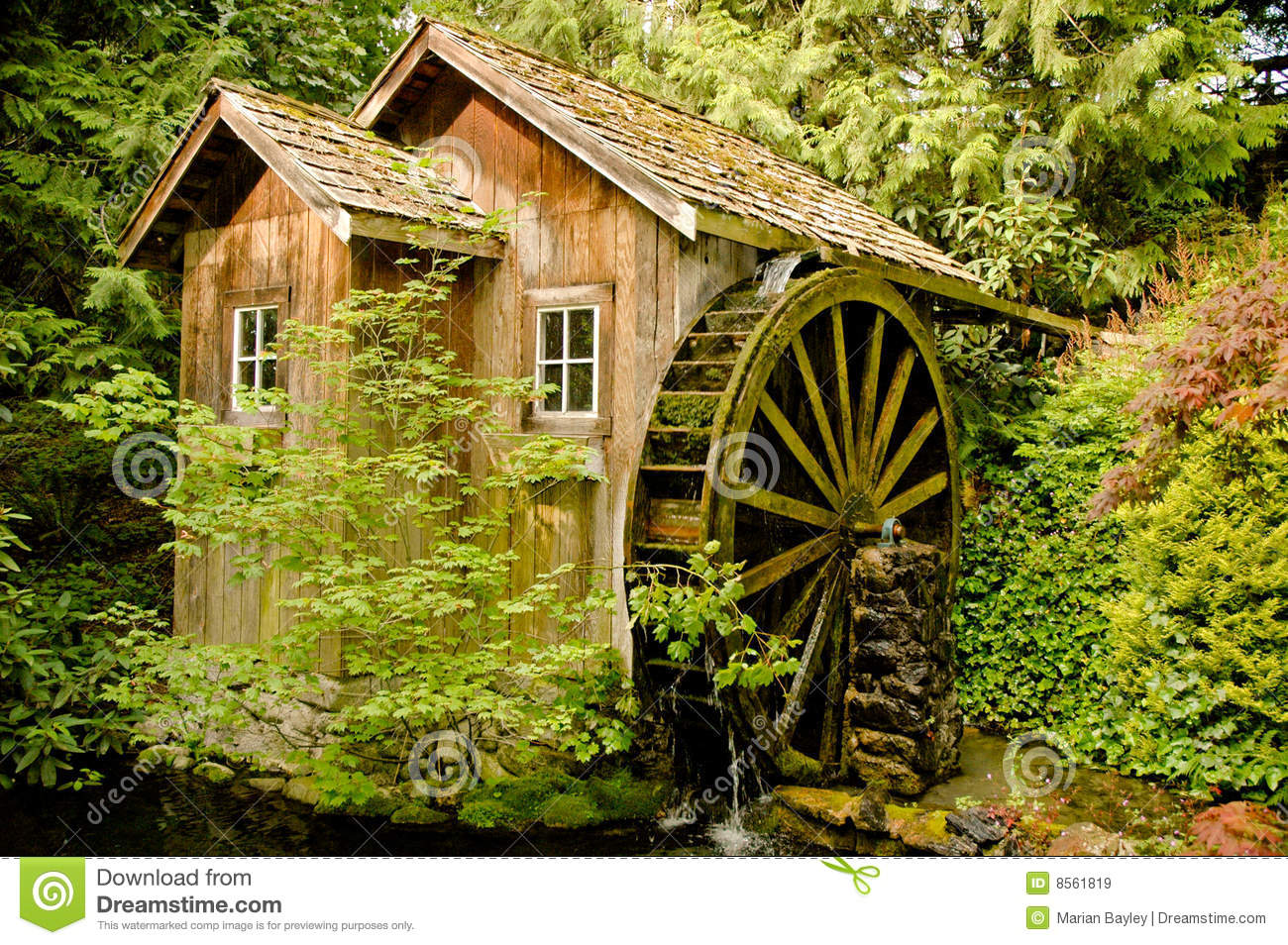 Old Mill On Stream Royalty Free Stock Images   Image  8561819