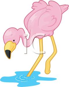 Cartoon Flamingo By Jondoodles Picture