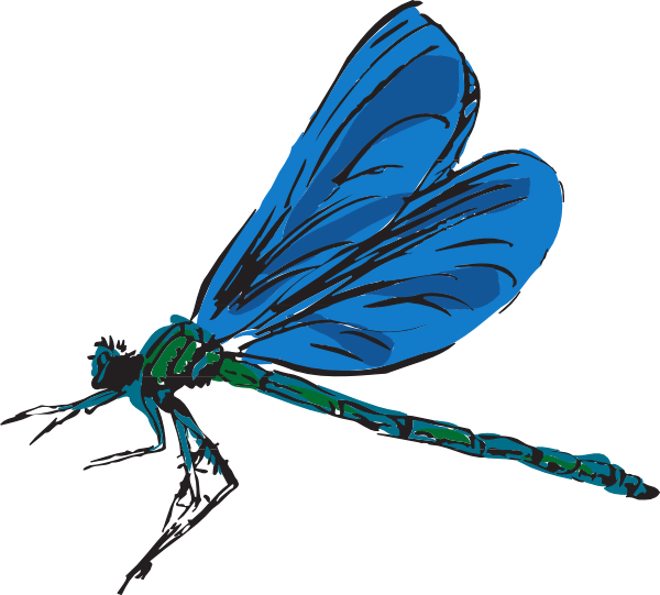 Dragonfly Art Clip Art At Clker Com   Vector Clip Art Online Royalty