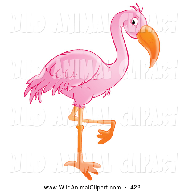 Flamingo Standing On One Leg Gun