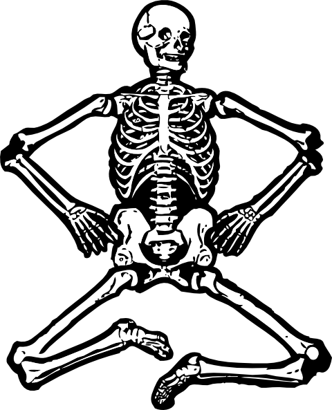 Human Skeleton Clip Art   Vector Clip Art Online Royalty Free