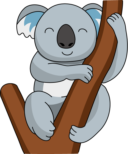 Koala01
