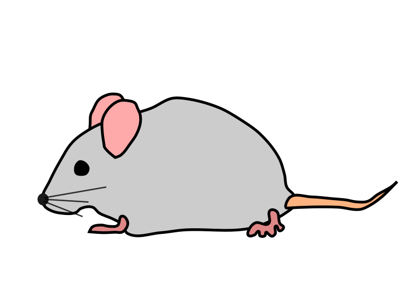 Mouse2