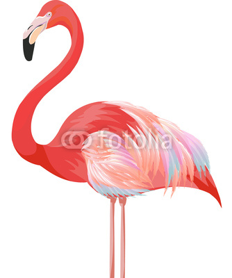 Raskolnikova Isimli Sanat  N N Flamingo Isimli Eseri   33259337    