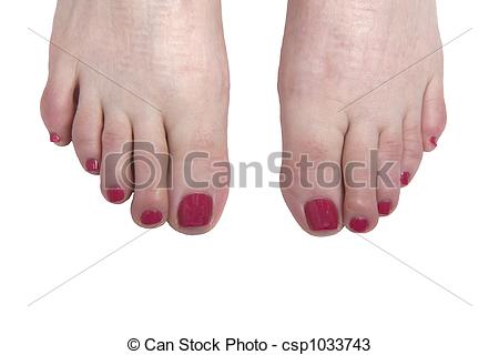 Stock Photos Of Painted Toes   Bright Red Polished Toenails On A White    