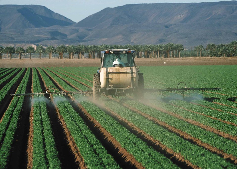 Title Spraying Pesticides On Lettuce Description Pesticide Application