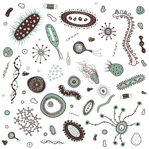 Bacteria Clip Art