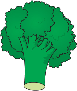 Broccoli Clipart Broccoli Jpg