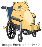 Clipart Fat Orange Cat   