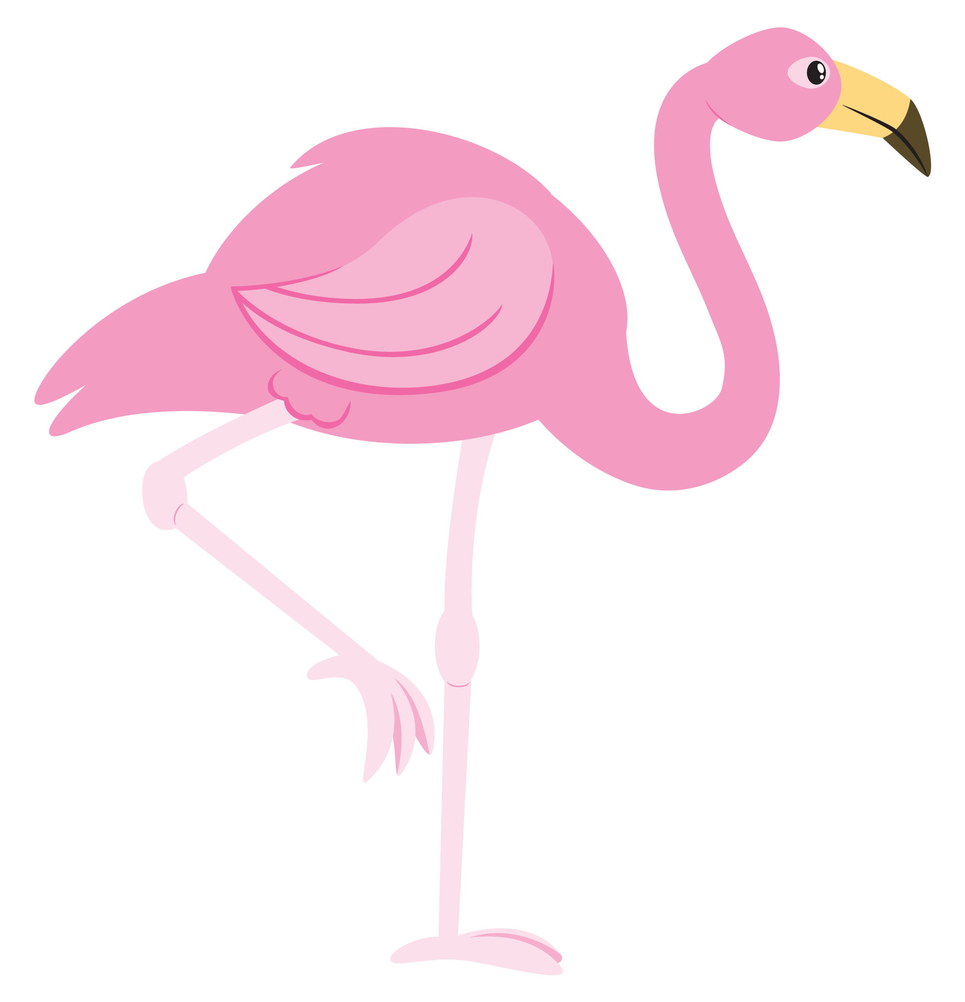 Flamingo2
