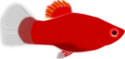 Red Aquarium Fish Clip Art Vector Free Vector Graphics   Vector Me