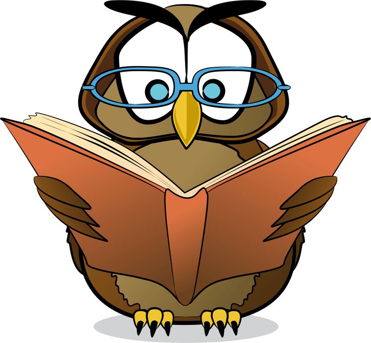 Wise Owl Clipart   Cliparts Co