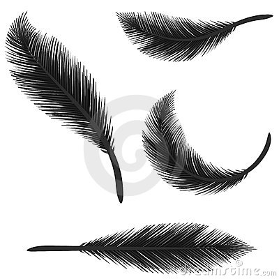 An Illustration Featuring An Assortment Of Black Feathers