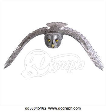 Bird  3d Rendering With Clipping Path And Shadow Over White  Clip Art
