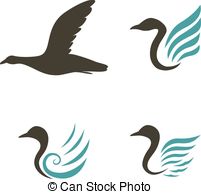 Ducks Feathers Float Floating Illustrations Love Swan Vector Clipart