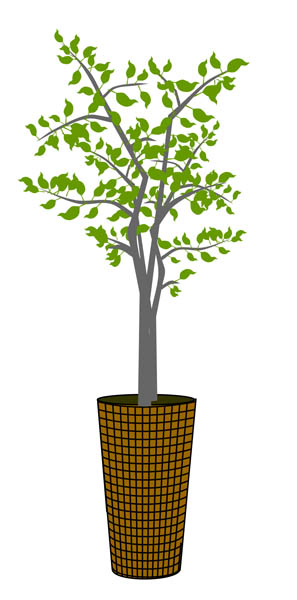 Illustration Of An Indoor Tree In A Pot