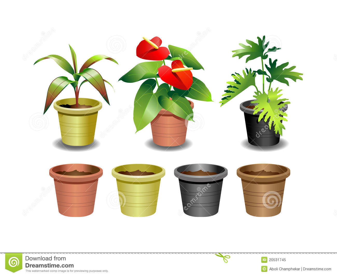 Indoor Office Plants   Set 1 Royalty Free Stock Photo   Image    