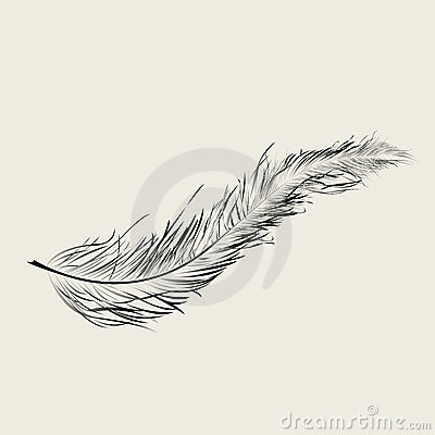 Pictures Of Floating Feathers