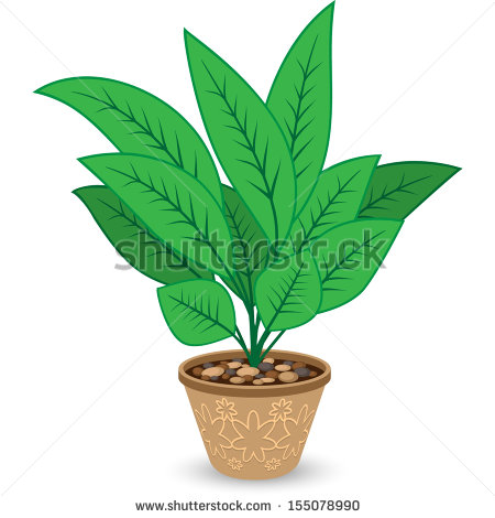 Plant In Flowerpot Isolated On White Background   Stock Vector