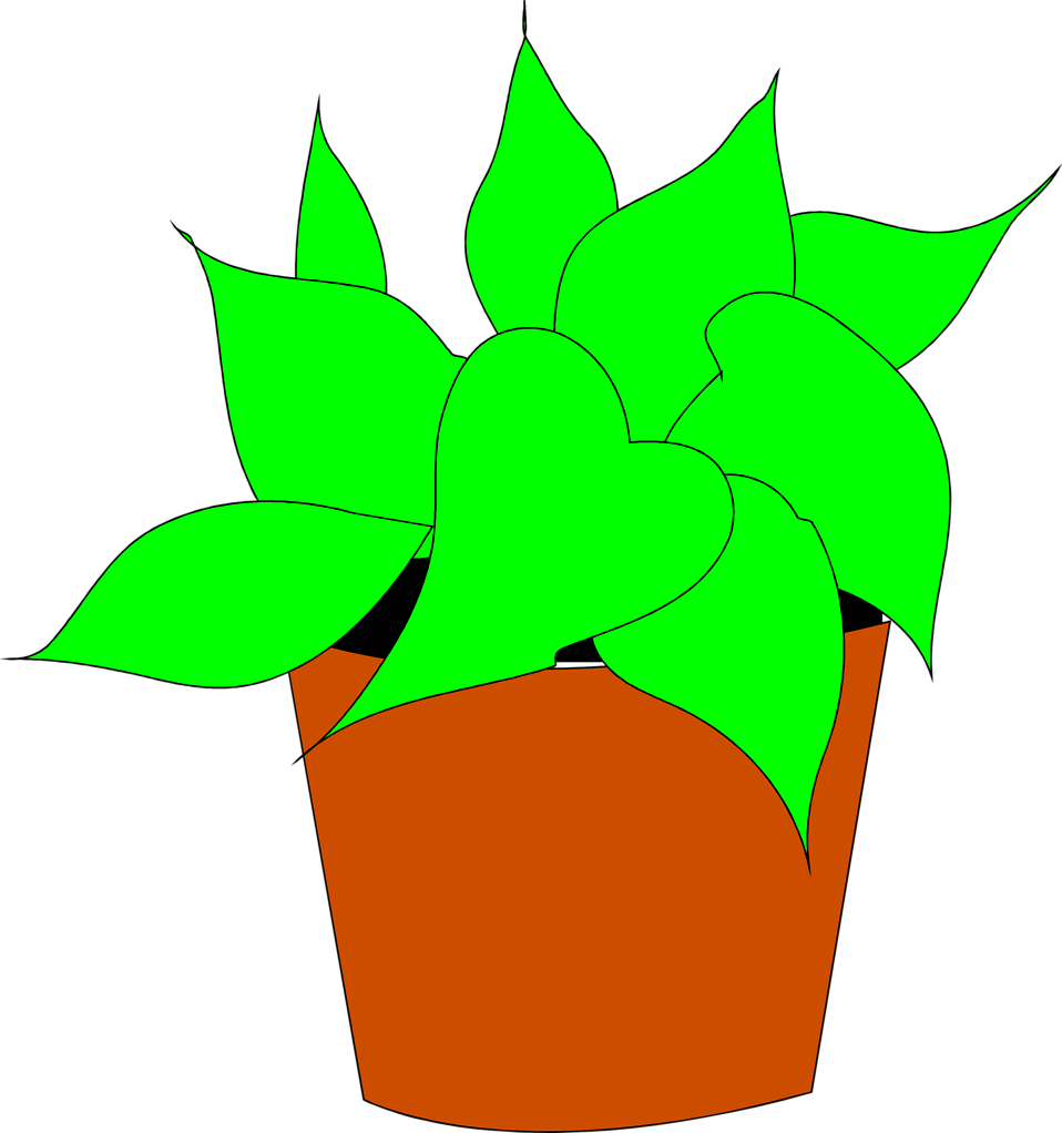 Plants   Free Stock Photo   Illustration Of A Potted House Plant