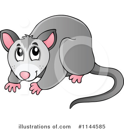 Possum Clipart  1144585   Illustration By Visekart