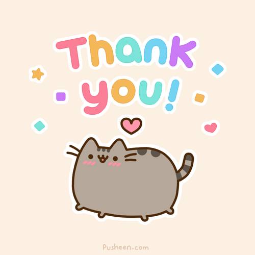 Cat Saying Thank You   Cats Picture