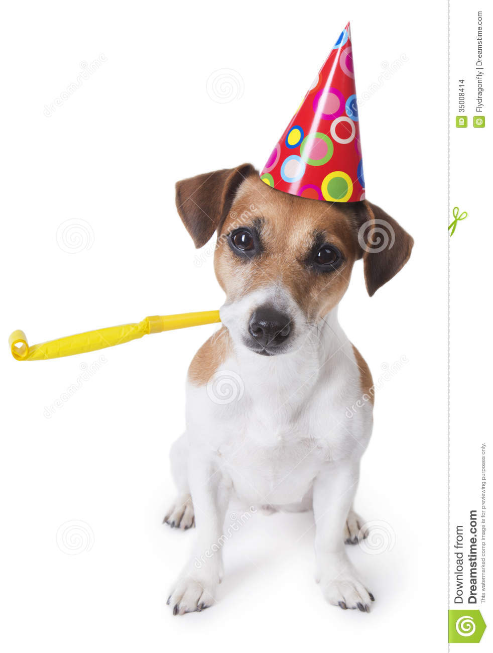 Cute Dog In Red Party Hat Designed Colored Circles With Yellow Party
