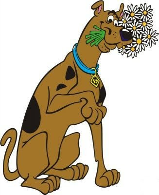 Free Cartoon Graphics   Pics   Gifs   Photographs  Scooby Doo Clip Art