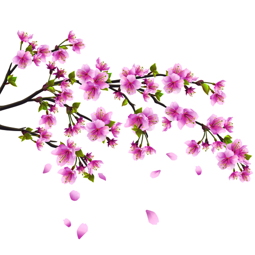 Free Eps File Japan Cherry Blossoms Free Vector 03 Download Name Japan