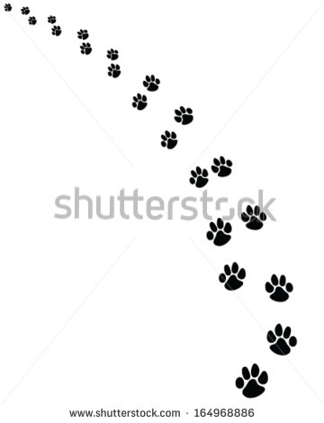 Black Footprints Of Dogs Turn Left Vector Illustration   Stock Vector