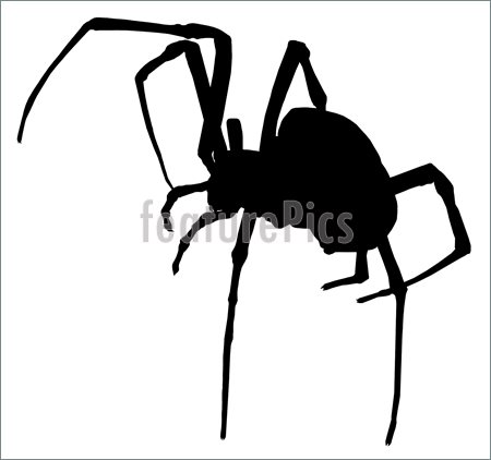 Halloween Spider Spooky Halloween Spider Silhouette Illustrations