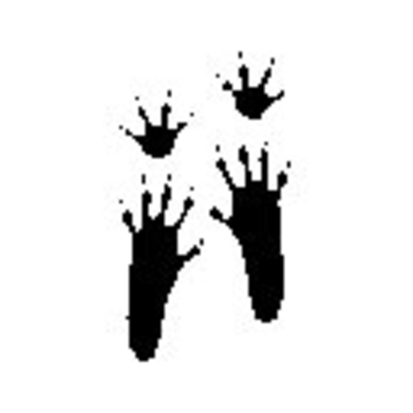 Rodent Paw Prints Http   Www Clker Com Clipart 244772 Html