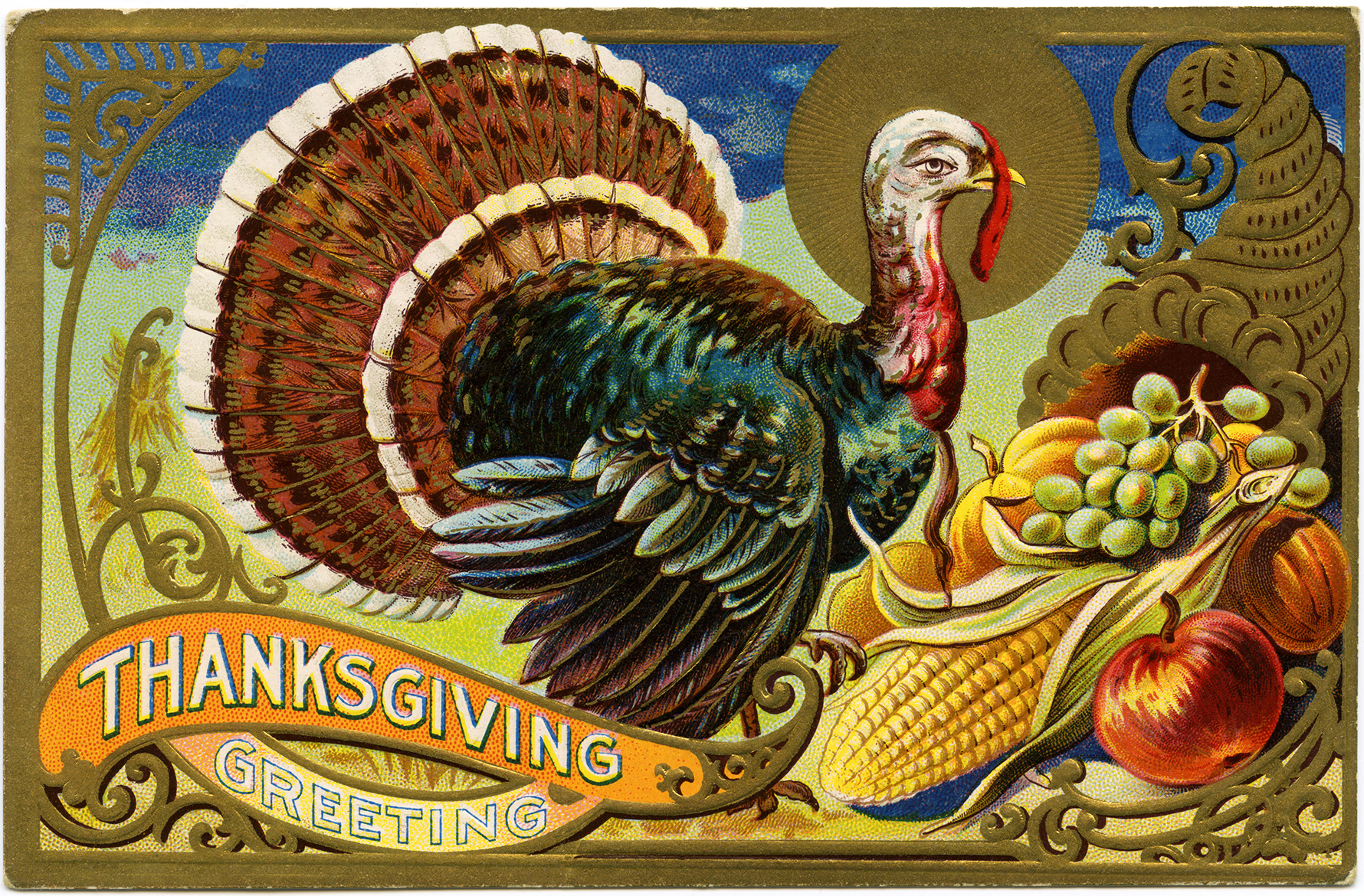 Vintage Thanksgiving Postcard Turkey Clipart Antique Holiday Card