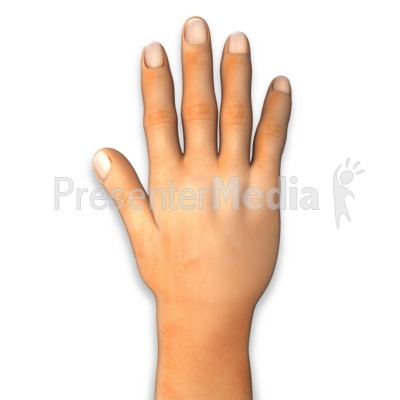 Back Of Hand Presentation Clipart