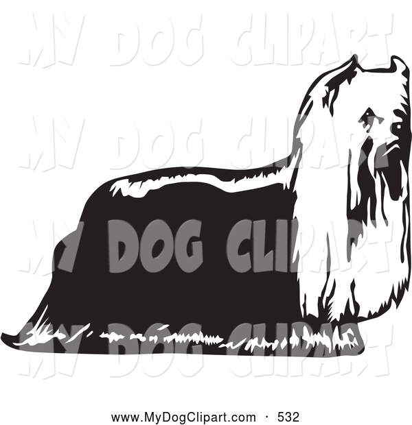 Clip Art Of A Furry Hairy Yorkie Yorkshire Terrier Dog In Profile
