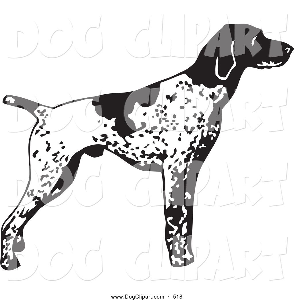 Clip Art Of An Alert English Pointer Dog Standing And Pointing In