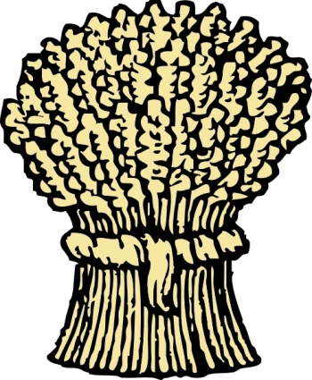 Corn And Wheat Clip Art