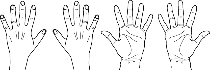 Frontiers   Hand Posture Effects On Handedness Recognition As Revealed    