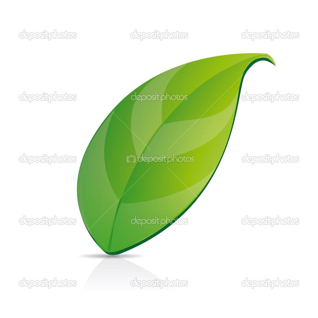 Green Tea Leaf Clip Art