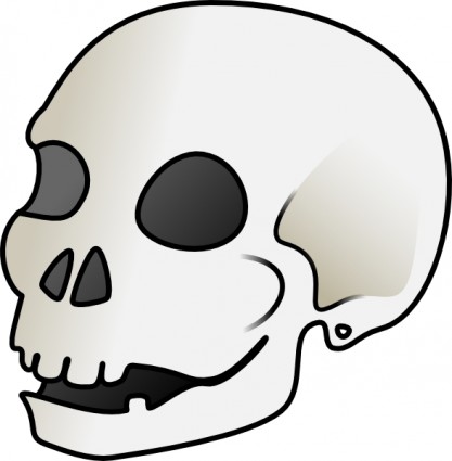 Human Skull Clip Art Free Vector In Open Office Drawing Svg    Svg    