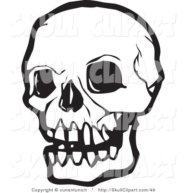 Human Skull With Dark Eye Sockets Skull Clip Art Xunantunich
