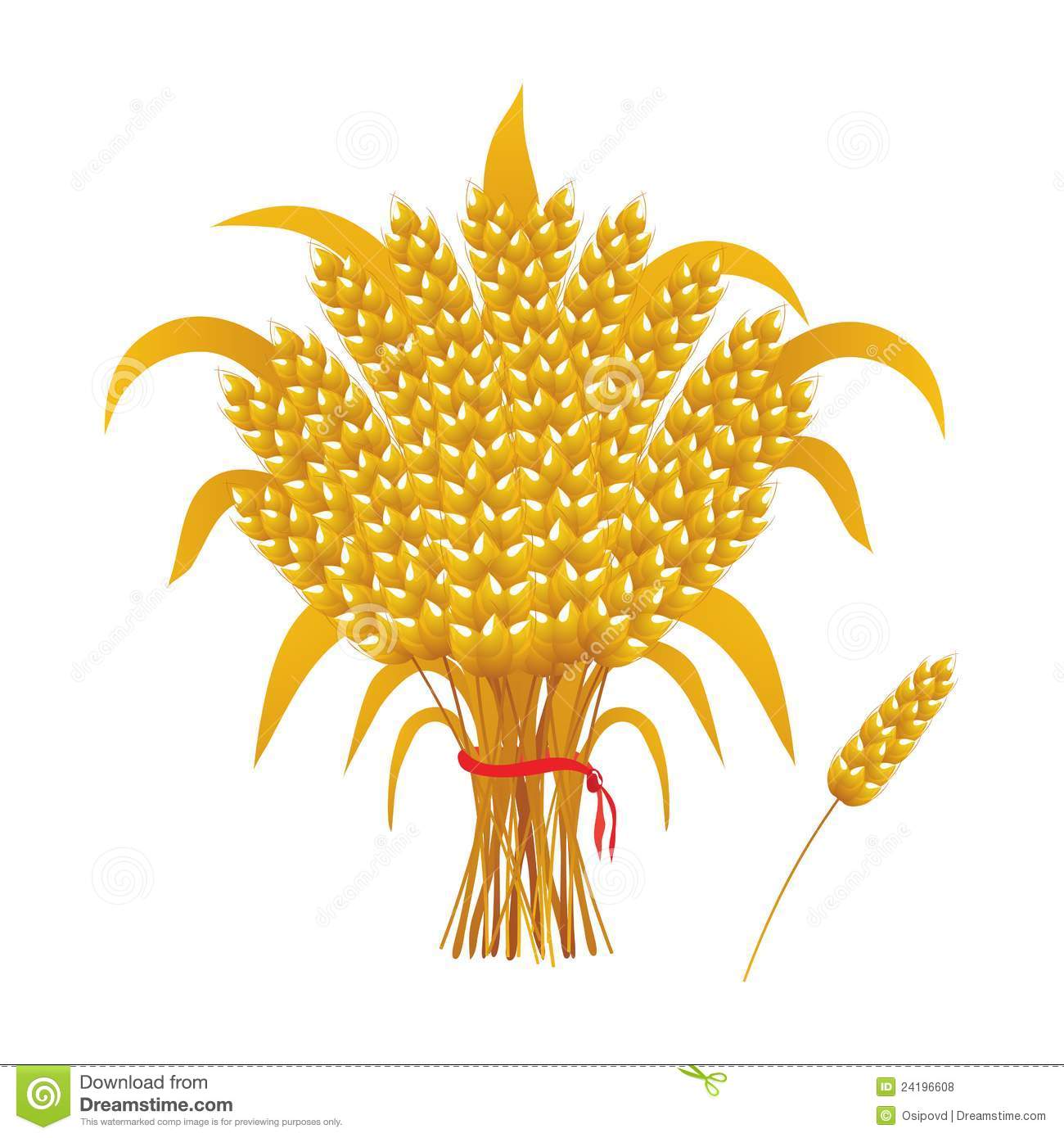 More Similar Stock Images Of   Wheat Ears Of Corn A Sheaf Of Wheat  
